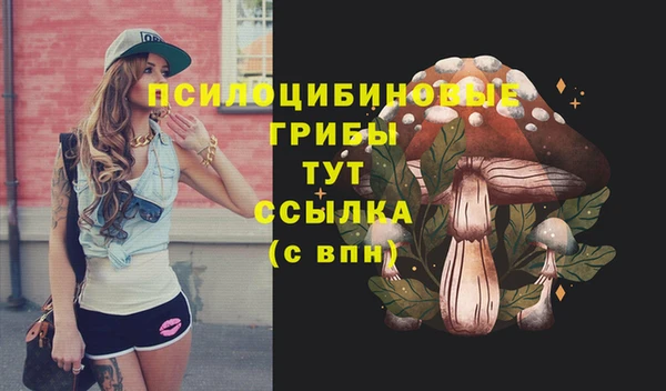 ALPHA-PVP Баксан