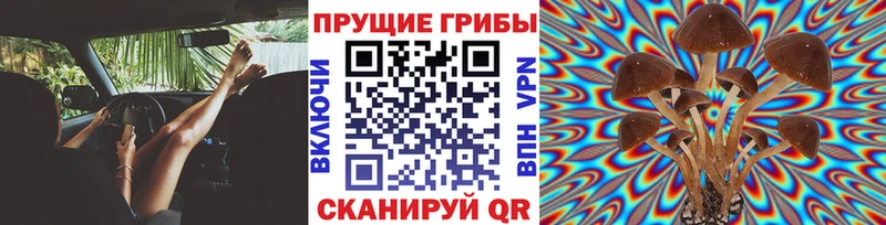 сайты даркнета состав  Бологое  Псилоцибиновые грибы GOLDEN TEACHER  где найти наркотики 